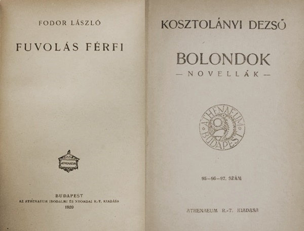 Fodor László, Kosztolányi Dezső - Fuvolás férfi, Bolondok (két mű egybekötve)