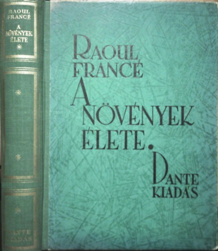 Raoul France - A nvnyek lete