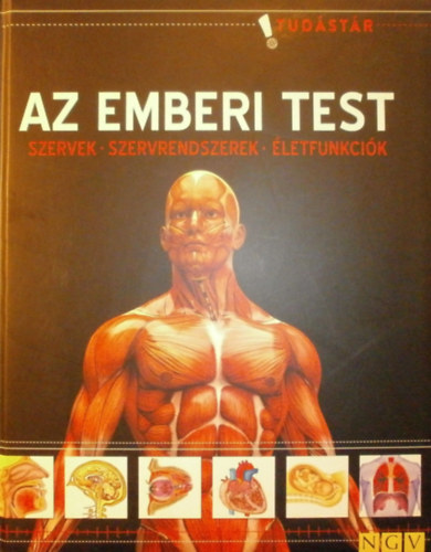 Az emberi test - Szervek - Szervrendszerek - Életfunkciók