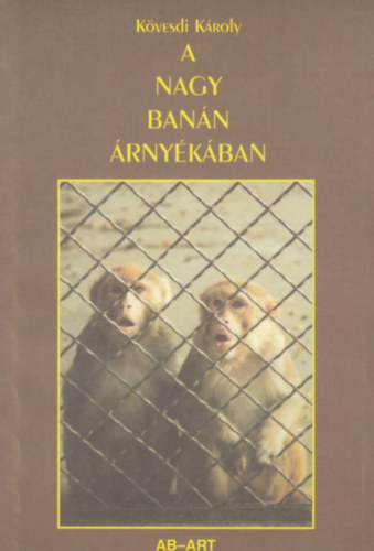 K�vesdi K�roly - A nagy ban�n �rny�k�ban