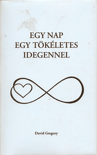Gregory David - Egy nap egy tökéletes idegennel