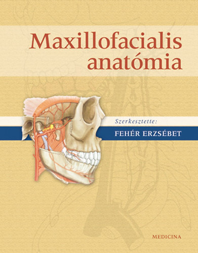 Fehér Erzsébet - Maxillofacialis anatómia