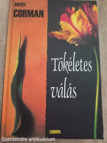 Avery Corman - Tökéletes válás