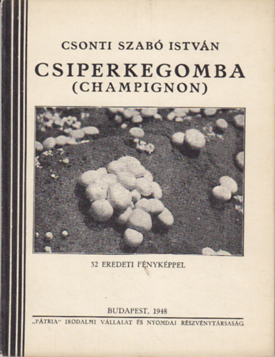 Csonti Szabó István - Csiperkegomba (Champignon)