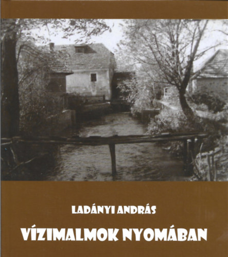 Ladnyi Andrs - Vzimalmok nyomban - Monostorapti vzimalmai