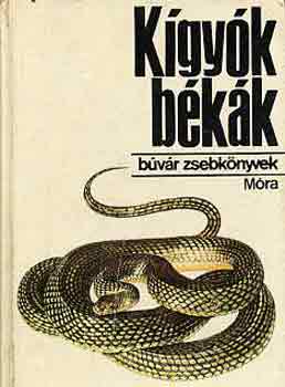 Janisch-Zsmboki - Kgyk, bkk (bvr zsebknyvek)