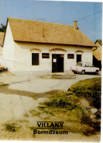 F�zes Endre (szerk.) - Vill�ny - Borm�zeum (T�jak-Korok-M�zeumok Kisk�nyvt�ra 288. sz�m)