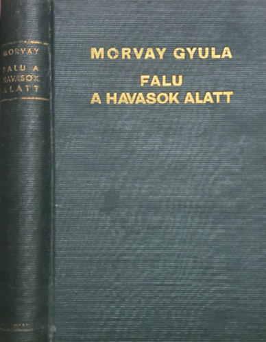Morvay Gyula - Falu a havasok alatt