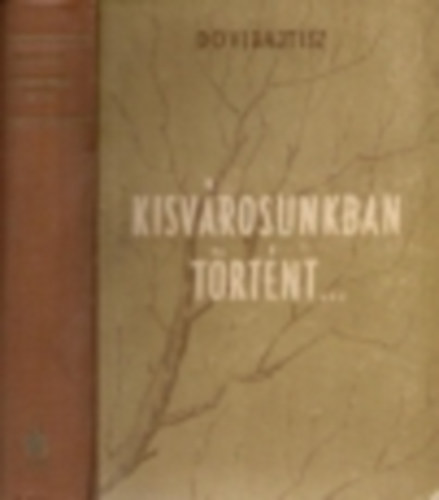 Dovidajtisz - Kisvárosunkban történt