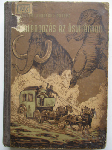 Tasndi Kubacska Andrs - Kalandozs az svilgban