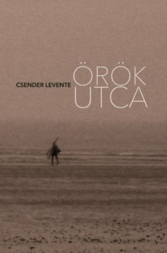 Csender Levente - rk utca
