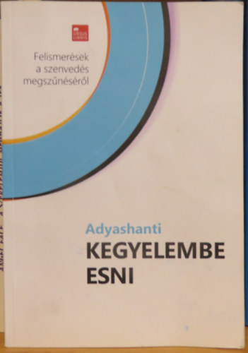 Adyashanti - Kegyelembe esni
