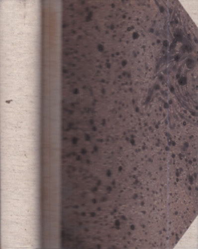 Dr. Moravcsik Ernő Emil - Gyakorlati elmekórtan