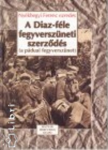 Nyékhegyi Ferenc - A Diaz-féle fegyverszüneti szerződés - A páduai fegyverszünet