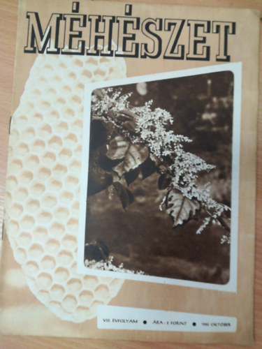 Mhszet VIII. vfolyam  10. szm 1960 oktber