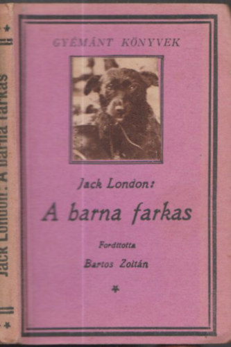 Jack London - A barna farkas (Tolnai Regénytára)