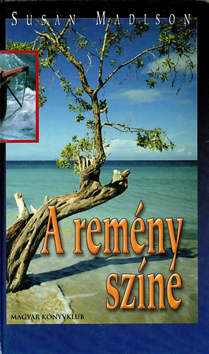 Susan Madison - A remény színe