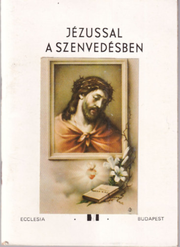 Cs�p�ny L�szl� - J�zussal a szenved�sben - Betegek imaf�zete