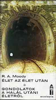 Thorwald Dethlefsen - Élet az élet után