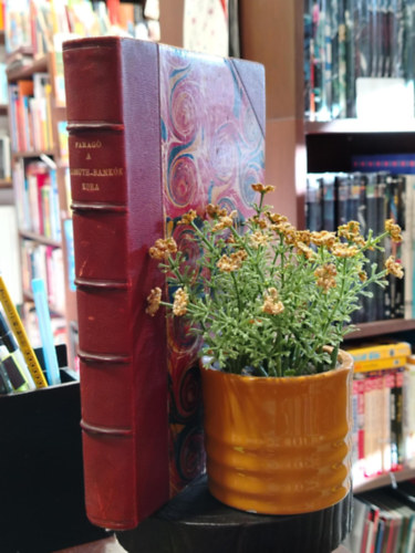 Farag� Miksa - A Kossuth-bank�k kora (A szabads�gharc p�nz�gyei)