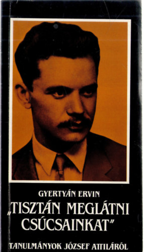 Gyertyán Ervin - "Tisztán meglátni csúcsainkat"