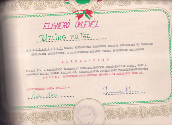 Elismerő Oklevél (47,5×34cm) - Rizling MG. TSZ. Pusztamérges község fejlesztése érdekében végzett eredményes és önzetlen társadalmi munkájukért, a Pusztamérges Községi Tanács Végrehajtó Bizottsága Elismerését fejezi ki...