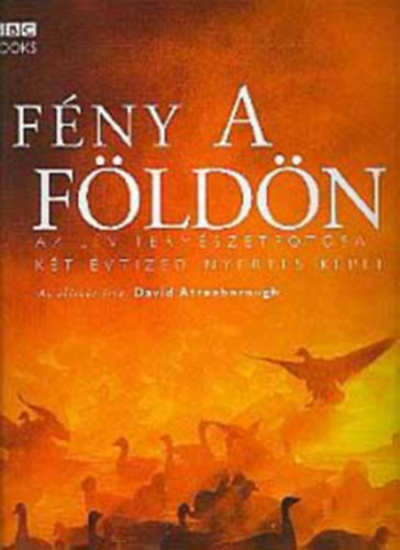 Alexandra Kiad - Fny a Fldn