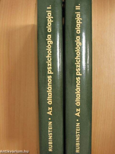 Rubinstein - Az ltalnos pszicholgia alapjai 1-2     - harmadik teljes kiads