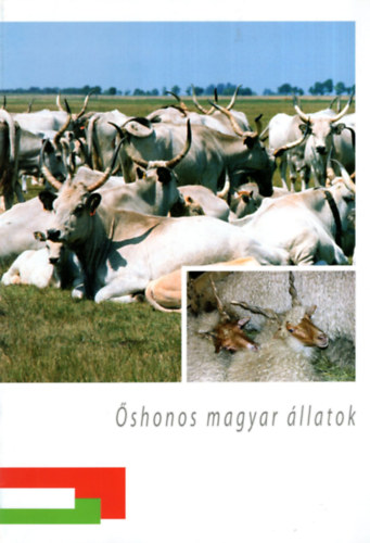 shonos magyar llatok - Szakcsknyv