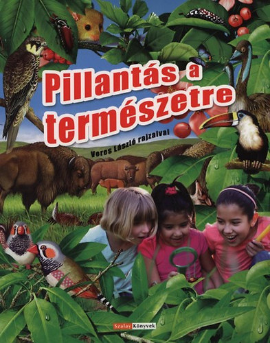 Pillants a termszetre