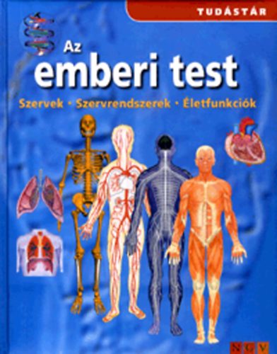 Az emberi test - Szervek - Szervrendszerek - letfunkcik