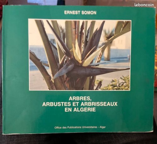 Arbres, arbustes et arbrisseaux en Algérie