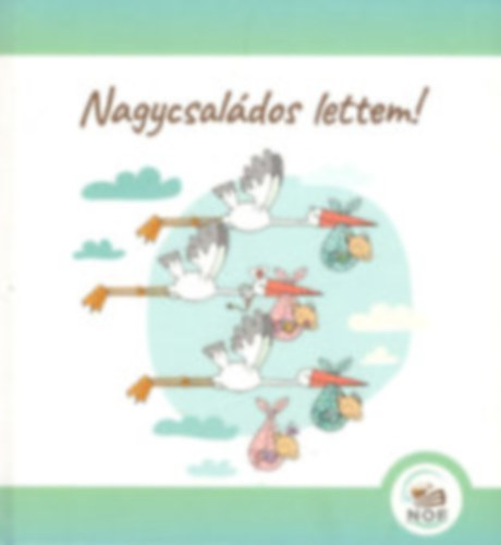Vida Mrta (Szerk.) - Nagycsaldos lettem!