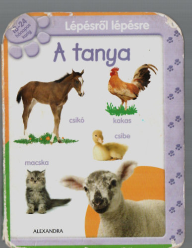 Lpsrl lpsre: A tanya - 18-24 hnapos korig