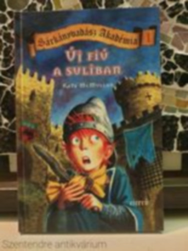 Kate McMullan - �j fi� a suliban(Saj�t k�ppel)