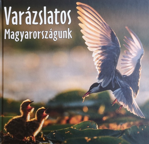 Gal Pter - Ldcs-Kiss Tams (szerk.) - Varzslatos Magyarorszgunk 2018