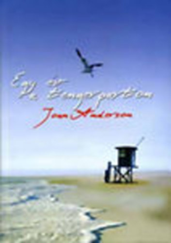 Joan Anderson - Egy �v a tengerparton+Befejezetlen h�zass�g