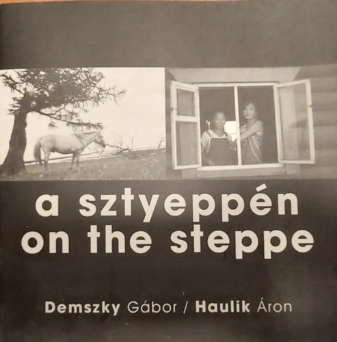 Demszky Gbor, Haulik ron - A sztyeppn - On the steppe