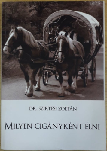 Dr. Szirtesi Zoltán - Milyen cigányként élni?