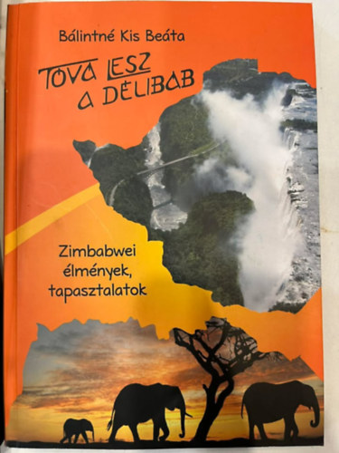 Bálintné Kis Béáta - Tóvá lesz a délibáb