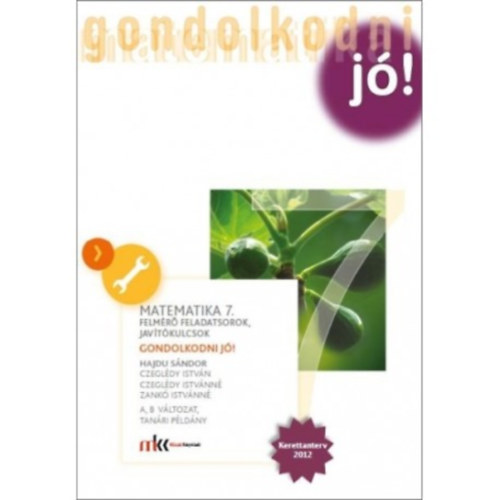 Dr. Hajdu Sndor - Gondolkodni j! Felmr feladatsorok matematika 7. osztly A,B vltozat tanri pldny