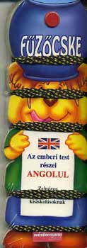 Pauz-Westermann Kiad - Fzcske: Az emberi test rszei angolul PK-30307