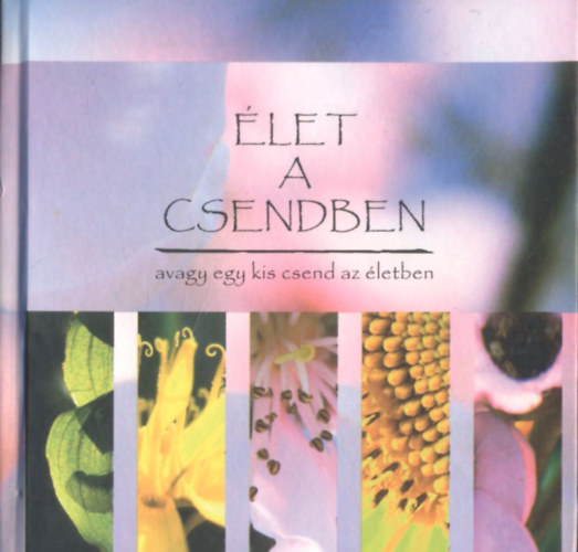 let a csendben avagy egy kis csend az letben