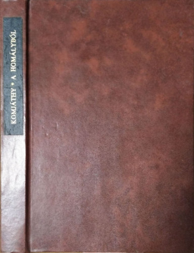 Komjthy Jen - A homlybl