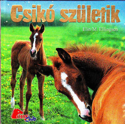 PonyClub 3 db.: Amerikai lomlovak, Csik szletik, A sivatag lovai