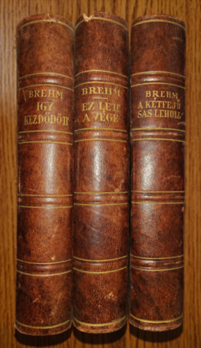 Bruno Brehm - �gy kezd�d�tt-A k�tfej� sas lehull-Ez lett a v�ge I-III.