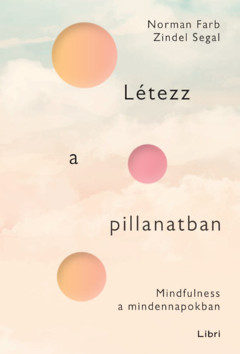 Zindel Segal, Norman Farb - Ltezz a pillanatban