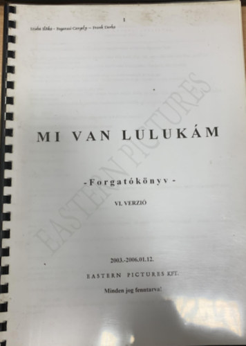 Szab Ildik, Fogarasi Gergely, Frank Dorka - Mi van Lulukm? (Forgatknyv VI. verzi)