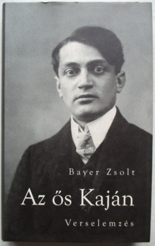 Bayer Zsolt - Az s Kajn - Verselemzs