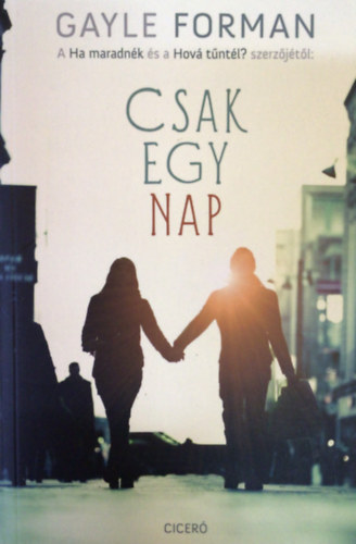 Gayle Forman - Csak egy nap